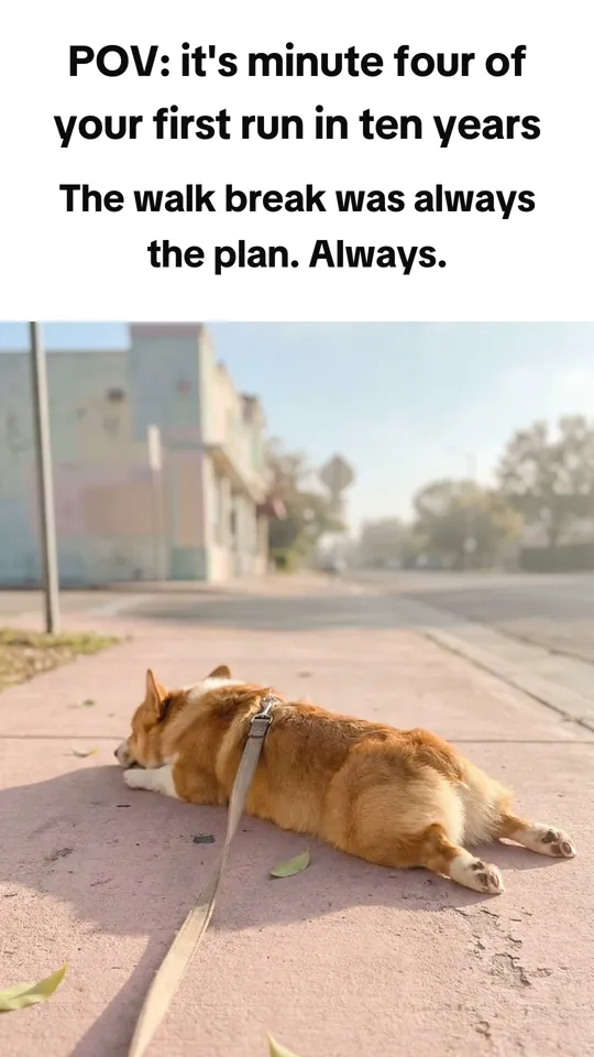 Meme. Top: POV: it's minute four of your first run in ten years Bottom: The walk break was always the plan. Always.